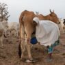 Life in Ruga: The Struggles of Fulani Communities Facing Discrimination