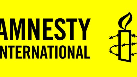 Amnesty Int'l urges probe into alleged Nigerian airstrike that killed 100 civilians