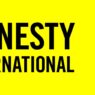 Amnesty Int'l urges probe into alleged Nigerian airstrike that killed 100 civilians