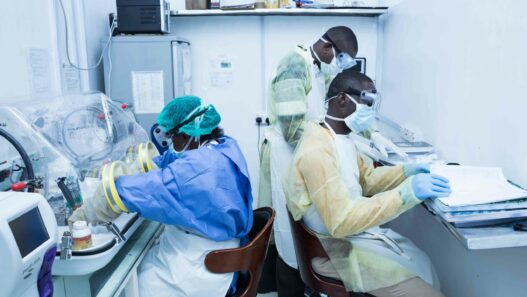 Lassa fever kills 259 in Nigeria as cases exceed 1,000